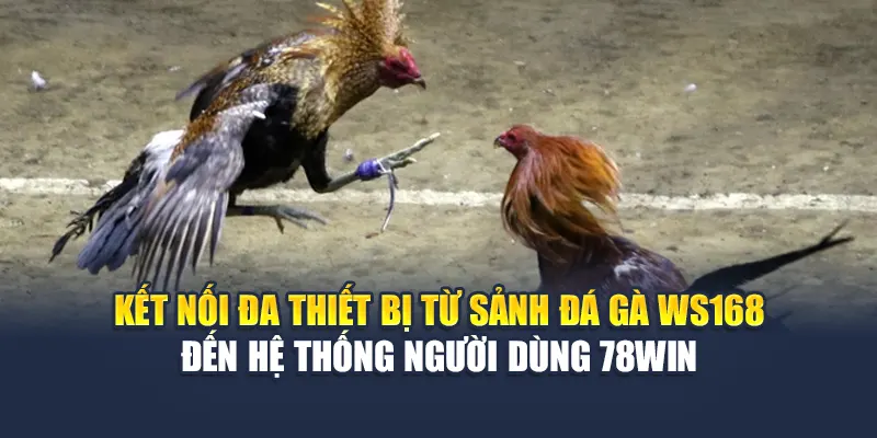 Sảnh Đá Gà WS168 Tại 78WIN Cuộc Đấu Đỉnh Cao Mở Màn 4 Kết nối đa thiết bị từ sảnh đá gà WS168 đến hệ thống người dùng 78WIN